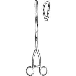 Sklar Instruments&nbsp;Forceps Sklar Microscopy Surgical   1/EA