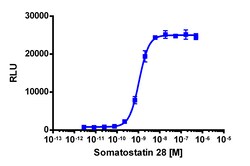 Eurofins Discoverx PathHunter eXpress SSTR2 CHO-K1 β-Arrestin GPCR Assay,