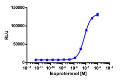 Eurofins Discoverx&nbsp;PathHunter eXpress ADRB2 CHO-K1 β-Arrestin GPCR Assay, 10-Plate Kit. (93-0182E2CP0L)
