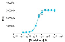 Eurofins Discoverx&nbsp;PathHunter BDKRB2 Bioassay Kit, 2-Plate. (93-0189Y2-00113)