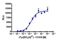 Eurofins Discoverx&nbsp;PathHunter HEK 293 CCKAR β-Arrestin Cell Line, 2 vials. (93-0190C1)