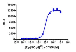 Eurofins Discoverx&nbsp;PathHunter CHO-K1 CCKAR β-Arrestin Cell Line, 2 vials. (93-0190C2)