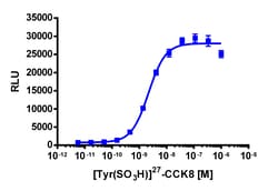 Eurofins Discoverx&nbsp;PathHunter eXpress CCKAR CHO-K1 β-Arrestin GPCR Assay, 2-Plate Kit. (93-0190E2CP2M)