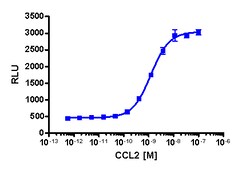 Eurofins Discoverx&nbsp;PathHunter CHO-K1 CCR2 β-Arrestin Cell Line, 2 vials. (93-0192C2)