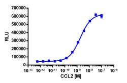 Eurofins Discoverx PathHunter eXpress CCR2 CHO-K1 β-Arrestin GPCR Assay, 10-Plate Kit. (93-0192E2CP0L)