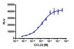 Eurofins Discoverx&nbsp;PathHunter CHO-K1 CCR4 β-Arrestin Cell Line, 2 vials. (93-0193C2)
