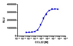 Eurofins Discoverx&nbsp;PathHunter eXpress CCR4 CHO-K1 β-Arrestin GPCR Assay, 10-Plate Kit. (93-0193E2CP0L)