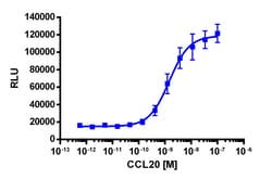 Eurofins Discoverx PathHunter eXpress CCR6 CHO-K1 β-Arrestin GPCR Assay,