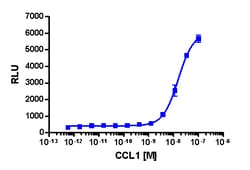 Eurofins Discoverx PathHunter CHO-K1 CCR8 β-Arrestin Cell Line, 2 vials.