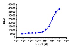 Eurofins Discoverx PathHunter eXpress CCR8 CHO-K1 β-Arrestin GPCR Assay,
