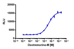 Eurofins Discoverx&nbsp;PathHunter CHO-K1 CHRM2 β-Arrestin Cell Line, 2 vials. (93-0198C2)