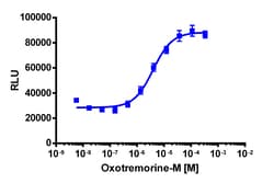 Eurofins Discoverx&nbsp;PathHunter eXpress CHRM2 CHO-K1 β-Arrestin GPCR Assay, 2-Plate Kit. (93-0198E2CP0M)