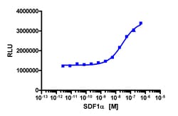 Eurofins Discoverx PathHunter C2C12 CXCR4 β-Arrestin Cell Line, 2 vials.