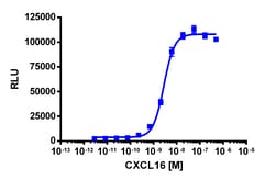 Eurofins Discoverx PathHunter eXpress CXCR6 CHO-K1 β-Arrestin GPCR Assay,
