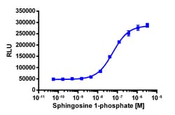 Eurofins Discoverx PathHunter eXpress EDG1 CHO-K1 β-Arrestin GPCR Assay,