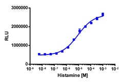 Eurofins Discoverx&nbsp;PathHunter eXpress HRH2 CHO-K1 β-Arrestin GPCR Assay, 2-Plate Kit. (93-0208E2CP0M)