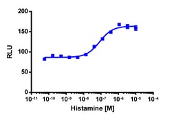 Eurofins Discoverx PathHunter U2OS HRH4 β-Arrestin Cell Line, 2 vials.