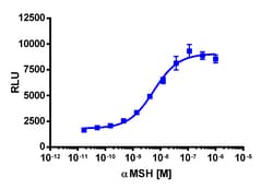 Eurofins Discoverx&nbsp;PathHunter eXpress MC4R U2OS β-Arrestin GPCR Assay, 2-Plate Kit. (93-0211E3CP0M)