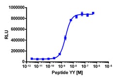 Eurofins Discoverx&nbsp;PathHunter eXpress NPY2R CHO-K1 β-Arrestin GPCR Assay, 10-Plate Kit. (93-0212E2CP0L)