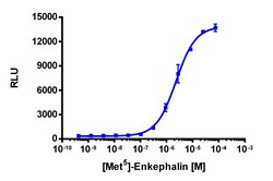Eurofins Discoverx&nbsp;PathHunter U2OS OPRM1 β-Arrestin Cell Line, 2 vials. (93-0213C3)