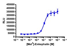 Eurofins Discoverx&nbsp;PathHunter eXpress OPRM1 CHO-K1 β-Arrestin GPCR Assay, 2-Plate Kit. (93-0213E2CP0M)