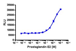 Eurofins Discoverx&nbsp;PathHunter HEK 293 PTGER2 β-Arrestin Cell Line, 2 vials. (93-0214C1)