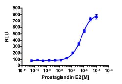 Eurofins Discoverx PathHunter CHO-K1 PTGER2 β-Arrestin Cell Line, 2 vials.