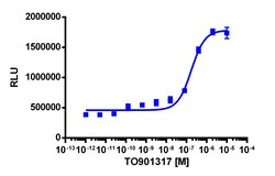 Eurofins Discoverx&nbsp;PathHunter CHO-K1 LXRα Nuclear Translocation Cell Line, 2 vials. (93-0215C2)