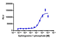 Eurofins Discoverx PathHunter CHO-K1 EDG3 β-Arrestin Cell Line, 2 vials.