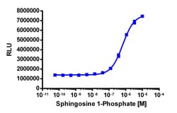 Eurofins Discoverx&nbsp;PathHunter eXpress EDG3 CHO-K1 β-Arrestin GPCR Assay, 10-Plate Kit. (93-0217E2CP0L)