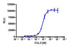 Eurofins Discoverx PathHunter CHO-K1 CCR5 β-Arrestin Cell Line, 2 vials.