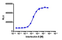 Eurofins Discoverx PathHunter eXpress CXCR1 (IL8RA) U2OS β-Arrestin GPCR