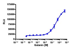 Eurofins Discoverx&nbsp;PathHunter CHO-K1 GALR1 β-Arrestin Cell Line, 2 vials. (93-0228C2)