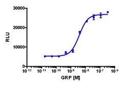 Eurofins Discoverx PathHunter HEK 293 GRPR β-Arrestin Cell Line, 2 vials.