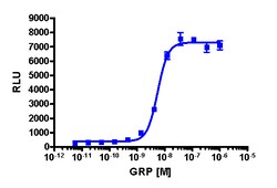 Eurofins Discoverx&nbsp;PathHunter U2OS GRPR β-Arrestin Cell Line, 2 vials. (93-0229C3)