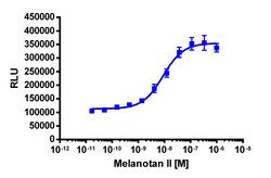 Eurofins Discoverx&nbsp;PathHunter eXpress MC5R CHO-K1 β-Arrestin GPCR Assay, 10-Plate Kit. (93-0231E2CP2L)