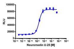 Eurofins Discoverx&nbsp;PathHunter eXpress NMU1R U2OS β-Arrestin GPCR Assay, 10-Plate Kit. (93-0232E3CP0L)