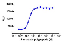 Eurofins Discoverx&nbsp;PathHunter eXpress PPYR1 (NPY4R) CHO-K1 β-Arrestin GPCR Assay, 10-Plate Kit. (93-0233E2CP0L)