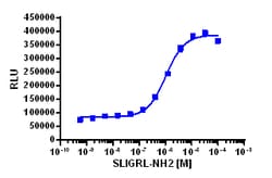 Eurofins Discoverx&nbsp;PathHunter eXpress F2RL1 (PAR2; GPR11) HEK 293 β-Arrestin GPCR Assay, 10-Plate Kit. (93-0235E1CP0L)