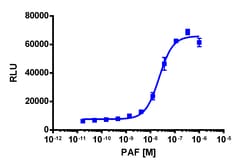 Eurofins Discoverx PathHunter CHO-K1 PTAFR β-Arrestin Cell Line, 2 vials.