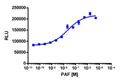 Eurofins Discoverx&nbsp;PathHunter eXpress PTAFR CHO-K1 β-Arrestin GPCR Assay, 2-Plate Kit. (93-0236E2CP0M)