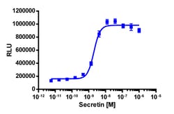 Eurofins Discoverx&nbsp;PathHunter eXpress SCTR CHO-K1 β-Arrestin GPCR Assay, 2-Plate Kit. (93-0237E2CP0M)