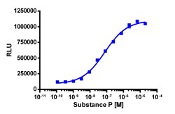 Eurofins Discoverx&nbsp;PathHunter eXpress TACR2 CHO-K1 β-Arrestin GPCR Assay, 10-Plate Kit. (93-0238E2CP0L)