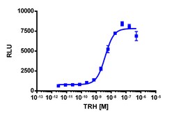 Eurofins Discoverx PathHunter CHO-K1 TRHR β-Arrestin Cell Line, 2 vials.