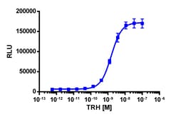 Eurofins Discoverx&nbsp;PathHunter eXpress TRHR CHO-K1 β-Arrestin GPCR Assay, 2-Plate Kit. (93-0239E2CP0M)