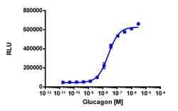 Eurofins Discoverx&nbsp;PathHunter eXpress GCGR CHO-K1 β-Arrestin GPCR Assay, 10-Plate Kit. (93-0241E2CP0L)