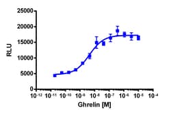 Eurofins Discoverx PathHunter U2OS GHSR1a β-Arrestin-1 Cell Line, 2 vials. (93-0242C3)