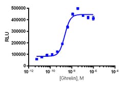 Eurofins Discoverx&nbsp;PathHunter eXpress GHSR1a U2OS β-Arrestin-1 GPCR Assay, 10pl Kit. (93-0242E3CP5L)