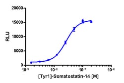 Eurofins Discoverx&nbsp;PathHunter HEK 293 SSTR3 β-Arrestin Cell Line, 2 vials. (93-0244C1)