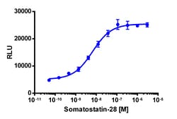 Eurofins Discoverx&nbsp;PathHunter eXpress SSTR3 CHO-K1 β-Arrestin GPCR Assay, 2-Plate Kit. (93-0244E2CP0M)